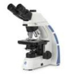 Microscope (Biological)