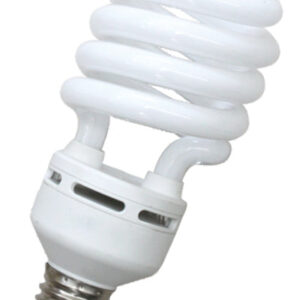 Omni E40 Spiral Lamp Light