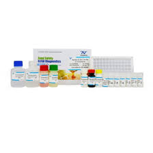 Dinitroimidazole ELISA Kit - Available On Request, Prices in Dollars