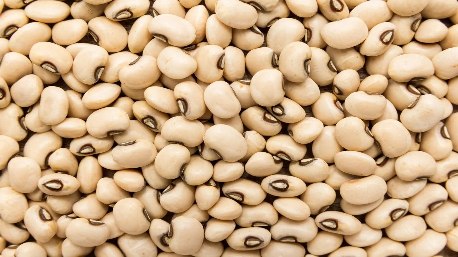 Cowpea Seeds | IT610-2E | Per kg