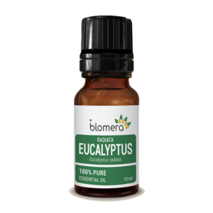 Eucalyptus Globulus Essential Oil