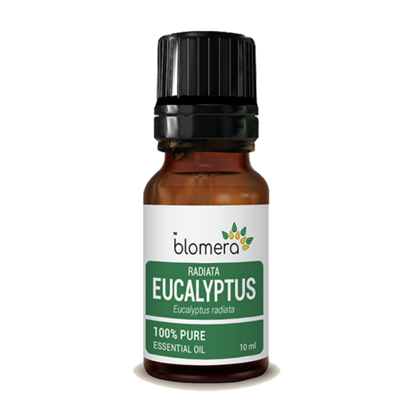 Eucalyptus Globulus Essential Oil