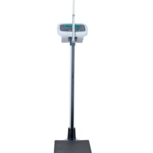 Electronic Body Scale - Available On Request, Prices in Dollars