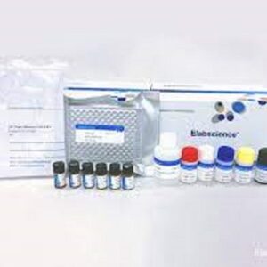 Florfenicol ELISA Kit - Available On Request, Prices in Dollars