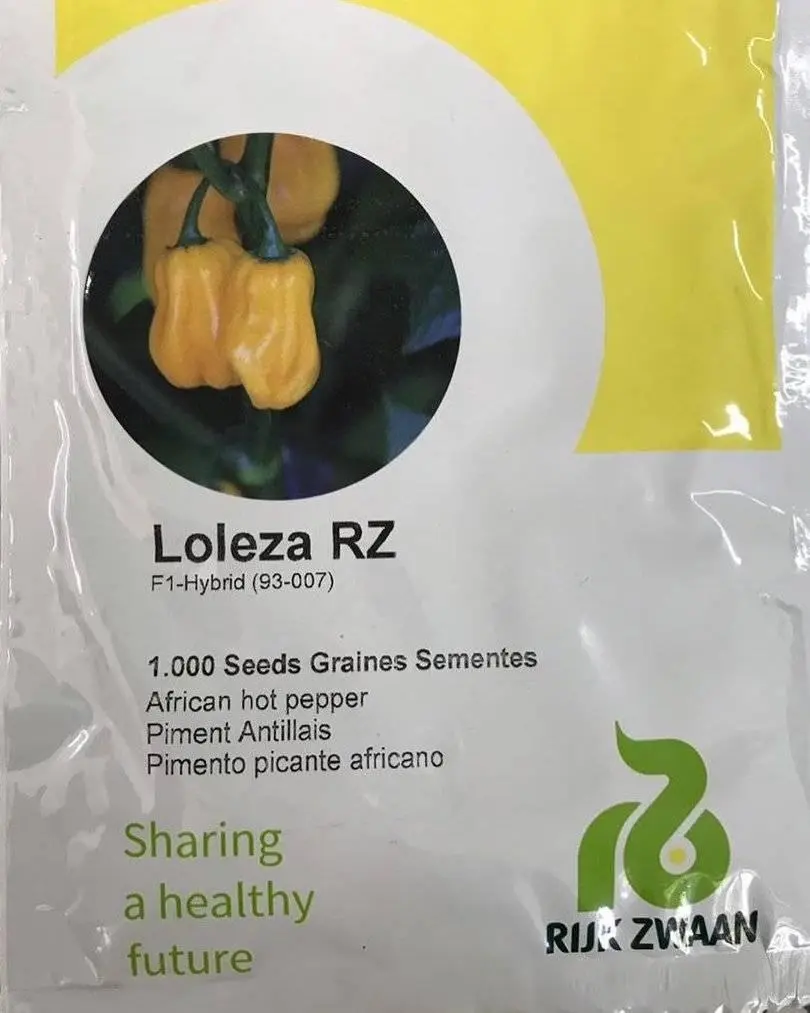 Yellow Hot Pepper-Loleza RZ F1 (500-1000 Seeds)