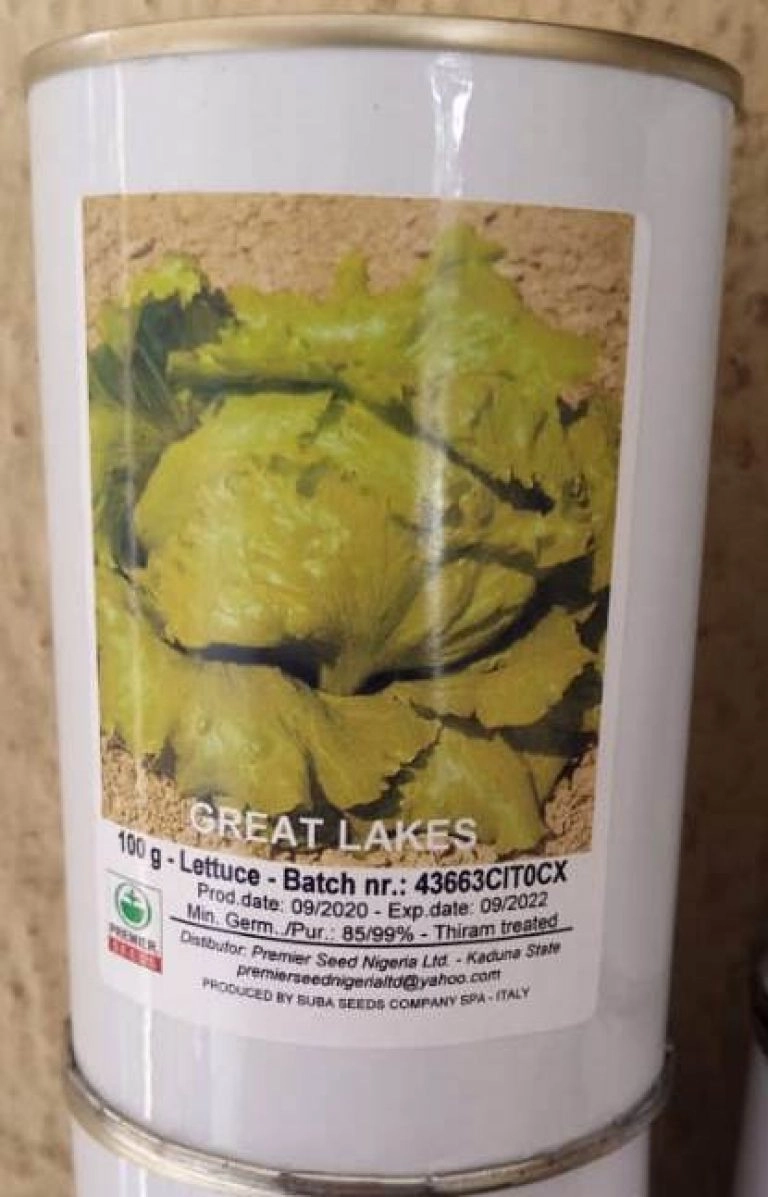 Great Lakes (Lettuce Seeds | Premier Seeds Brand | 100g)