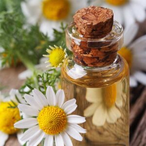 Chamomile Carrier Oil