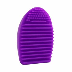AOA Brush Cleaning Egg