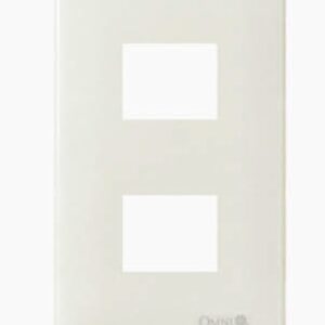 Omni WEP-102 2 Gang Plate (Flush Type)