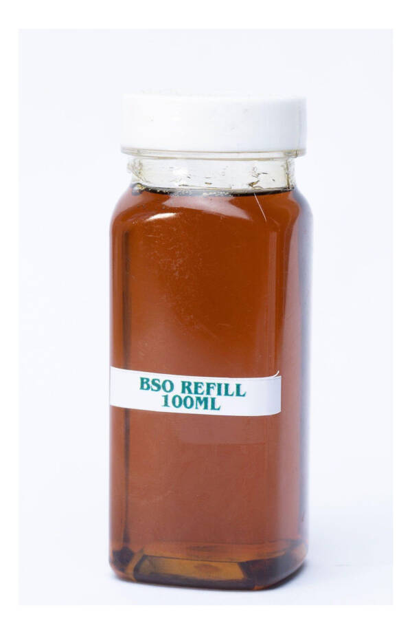 Black Seed Oil Organic  (Filtered) Refill PET Bottle 100ml
