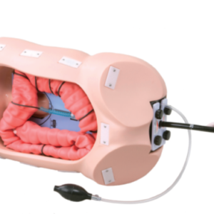 M40  Colonoscope Training Simulator (Shipped from abroad)