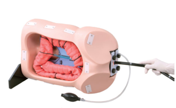 M40  Colonoscope Training Simulator (Shipped from abroad)