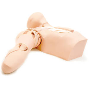 MW18  Ultrasound-Guided PICC Training Simulator (Shipped from abroad)