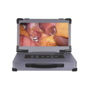 HD310 Endoscopic camera (900 line LED60W 15.6)