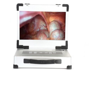 HD340 Portable Endoscopic camera