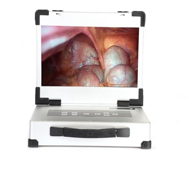 HD340 Portable Endoscopic camera