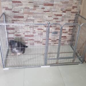 Multi purpose play pen 70×70CM