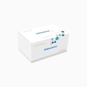 Amantadine ELISA Kit - available on request