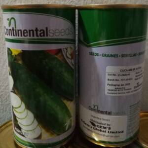 Ashley Cucumber Seeds