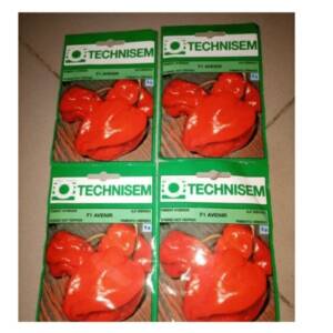 Avenir F1 Pepper Seeds (Technisem Hybrid Pepper Seeds)