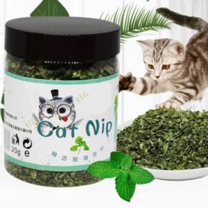 Premium Cat nip For Cats