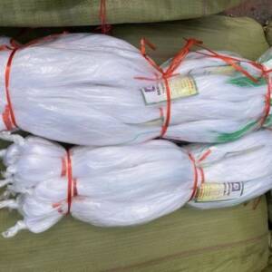 Cucumber Staking Net ? 2 Metres by 100 Metres
