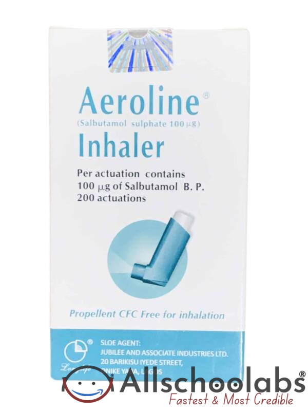 Aeroline inhaler