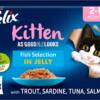 Felix Kitten Good as it looks Fish Selection (12x100g)