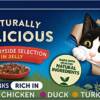 Felix Natural Delicious Countryside Selection (40*85g)