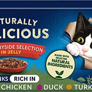 Felix Natural Delicious Countryside Selection (40*85g)