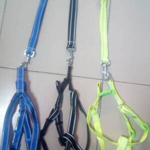 Dog Harness & Leash – Small/Medium