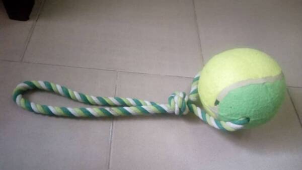 Single Tennis Ball Rope Toy for Dogs – Large