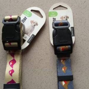 Colourful Dog Collars