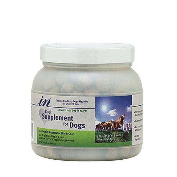 In Diet Supplement For Dogs