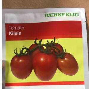 Kilele F1 Hybrid Tomato Seeds (Syngenta)