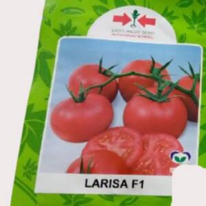 Larisa F1 Hybrid Tomato Seeds (East West Seed Brand)