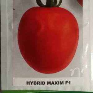 Maxim F1 Hybrid Tomato Seeds