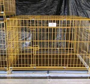 Gold color collapsible wire cage size 4(90cm)