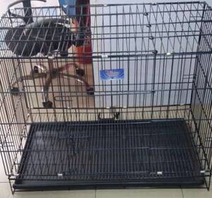 Collapsible cage size 5(100cm)
