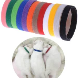 Pack of 10 Pet Dog Whelping Puppy Kitten ID Identify Sticker Collars Bands