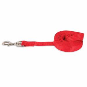 Petmate Nylon Dog Lead (Red)