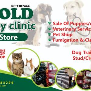 Vingold Veterinary Service Abuja