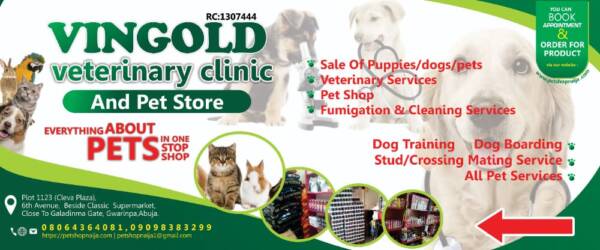 Vingold Veterinary Service Abuja