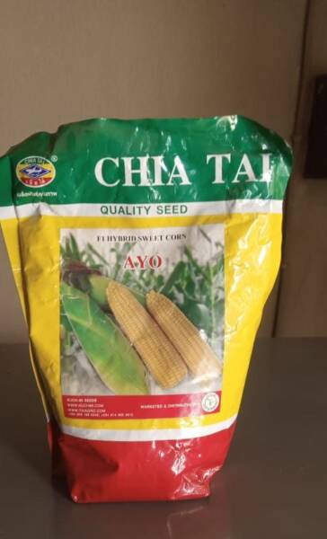 Chia Tai Sweet Corn Seed 500g