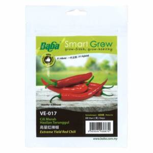 BABA Extreme Yield Chilli Pepper Seeds