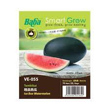 BABA Icebox Watermelon Hybrid F1 Seeds