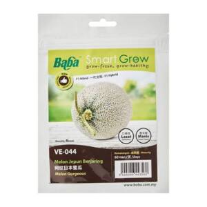Baba Melon Gorgeous Seeds