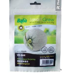 BABA SMART GROW MELON JEPUN BERJARING