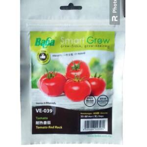 BABA SMART GROW TOMATO RED ROCK