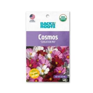 Back To The Root Comos 'Sensation Mix' Seeds